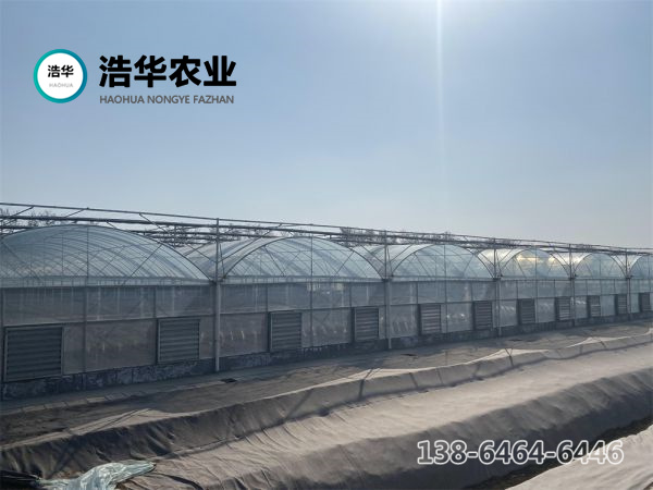 连栋玻璃温室顶部覆盖材料