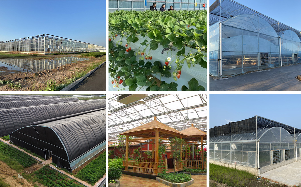 649a5c7cc1e45.jpg 1.jpg