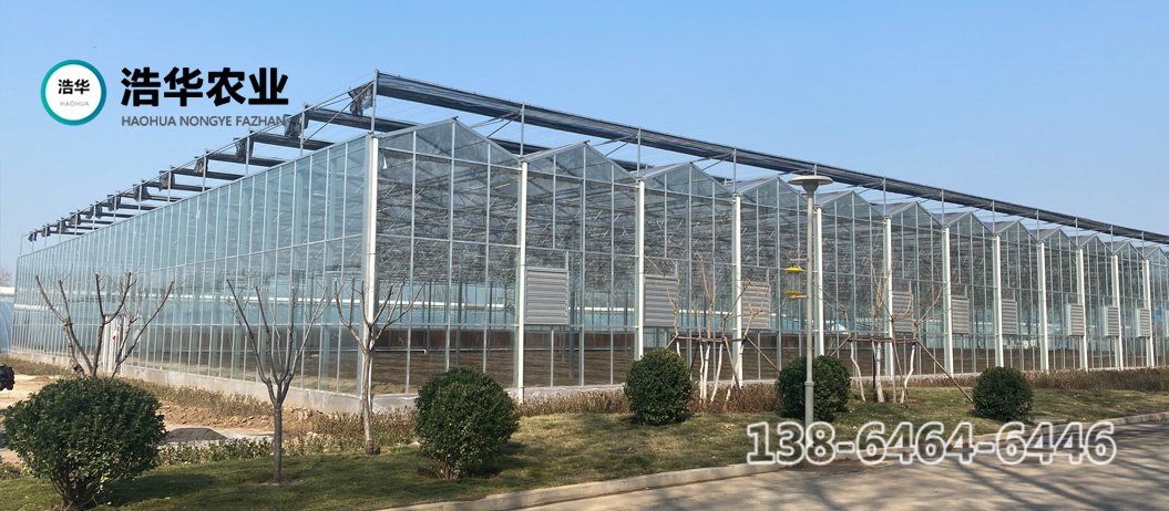 649a5cba4f45d.jpg 1.jpg